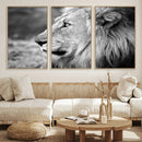 African Lion Wall Art Canvas Print – Majestic Wildlife