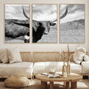 Longhorn Wall Art Canvas Print, Framed Ranch Wall Art Canvas by MyGreatCanvas | Canvas Wall Art Prints | Photo Prints & Wall Decor