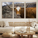 Texas Longhorn Canvas Wall Art - Longhorn Steer Canvas Wall by MyGreatCanvas | Canvas Wall Art Prints | Photo Prints & Wall Decor