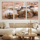Lion Pair Wall Art Canvas Print – Framed Wildlife Scene with