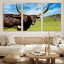 Longhorn and Cow Wall Art, Country Cow Wall Decor Canvas by MyGreatCanvas | Canvas Wall Art Prints | Photo Prints & Wall Decor