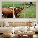 Longhorn Steer Canvas Wall Art – Rustic Nature Triptych
