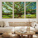 Majestic Oak Tree Wall Art – Serene Nature Canvas Print with