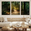 Sunlit Forest Pathway Canvas Print | 3 Panel Large Nature by MyGreatCanvas | Canvas Wall Art Prints | Photo Prints & Wall Decor