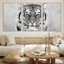 Tiger Canvas Artwork Wall Art Print