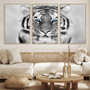 Black and White Tiger Wall Art Animal Canvas Print