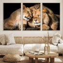 Lion and Lioness Wall Art Canvas Print – Framed African
