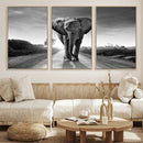 Black and White Elephant Wall Art Canvas Print