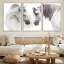 White Horse Wall Art Animal Canvas Print