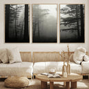 Misty Forest Wall Art Premium Canvas Print a Foggy and