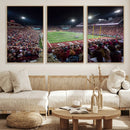 Mississippi State Bulldogs Stadium Wall Art Canvas Print –