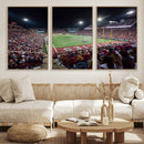 Washington-Grizzly Stadium Canvas Print, American Football