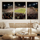 Washington-Grizzly Stadium Canvas Print, American Football