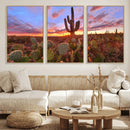 Arizona Desert Wall Art Canvas Print - Framed Deser Sunset by MyGreatCanvas | Canvas Wall Art Prints | Photo Prints & Wall Decor