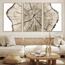 Abstract Wood Tree Ring Wall Art - Ready to Hang Minimalist