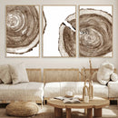 Wood Tree Ring Wall Art Canvas Prints, Tree Rings –