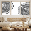 Abstract Large Tree Rings – Minimalist Black and White Wood