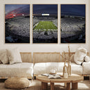 Penn State University Nittany Lions Football Team Print -