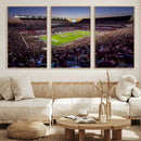 Texas A&M University Aggies Football Team Print - College