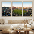 Boca Juniors Soccer Team Print - Buenos Aires Bombonera