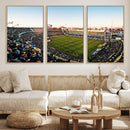 Boca Juniors Soccer Team Print - Buenos Aires Bombonera