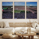South Carolina Gamecocks Football Team Print - Columbia