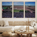 South Carolina Gamecocks Football Team Print - Columbia