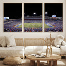 Buffalo Bills Wall Art - Buffalo Bills Stadium Canvas Print,