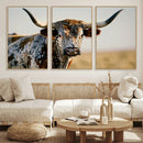Texas Bull Longhorn Wall Art Canvas Print for Farm House by MyGreatCanvas | Canvas Wall Art Prints | Photo Prints & Wall Decor
