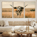 Texas Cow Longhorn Wall Art Canvas Print for Farm House Wall