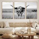 Texas Cow Longhorn Wall Art Canvas Print for Farm House Wall