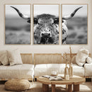 Texas Cow Longhorn Wall Art Canvas Print for Farm House Wall