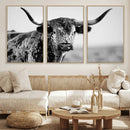 Texas Cow Longhorn Wall Art Canvas Print in Black and White