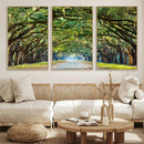 Wormsloe State Plantation Driveway Wall Art Canvas Print by MyGreatCanvas | Canvas Wall Art Prints | Photo Prints & Wall Decor