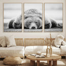 Resting Grizzly Bear Wall Art Canvas Print – Majestic Lazy by MyGreatCanvas | Canvas Wall Art Prints | Photo Prints & Wall Decor