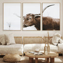 Rustic Bull Wall Art Canvas Print – Modern Longhorn