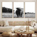 Black and White Highland Cow Wall Art Canvas Print | Rustic