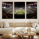Eagles Field Stadium Wall Art - Philadelphia Eagles Football