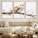 Barn Owl Wall Art on Branch | Stunning Canvas Print for