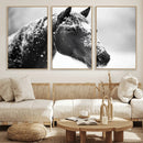 Horse Canvas Print - Winter Horse Snow Wall Art Canvas Print by MyGreatCanvas | Canvas Wall Art Prints | Photo Prints & Wall Decor