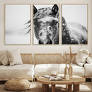 Western Wall Art | Black and White Winter Horse Wall Art | by MyGreatCanvas | Canvas Wall Art Prints | Photo Prints & Wall Decor