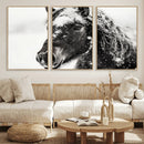 Framed Black and White Horse Wall Art | Ready to Hang and by MyGreatCanvas | Canvas Wall Art Prints | Photo Prints & Wall Decor