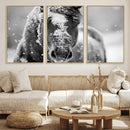 Black and White Horse Winter Wall Art | Ready to Hang and