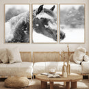 Black Horse Winter Wall Art | Ready to Hang and Framed |
