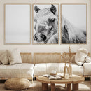 White Horse Wall Art | Ready to Hang and Framed | Winter