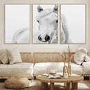 Majestic White Horse Wall Art | Ready to Hang and Framed |