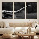 Cow Longhorn Wall Art | Black and White Print | Ready to by MyGreatCanvas | Canvas Wall Art Prints | Photo Prints & Wall Decor