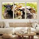 Curious Cows Farmhouse Wall Art | Ready to Hang and Framed