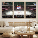 Honda Center California Anaheim Ducks Ice Hockey Stadium