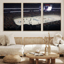 Honda Center California Anaheim Ducks Hockey Stadium Wall
